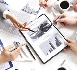 Information Security Consultant/Auditor