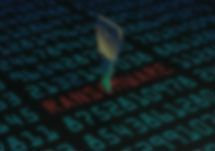 Malware / Ransomware Resilience Assessment